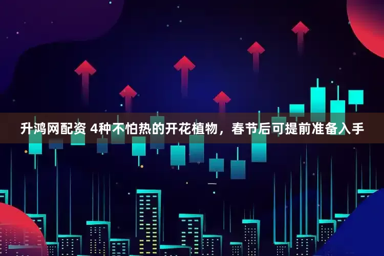 升鸿网配资 4种不怕热的开花植物，春节后可提前准备入手