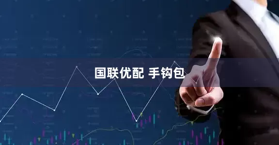 国联优配 手钩包