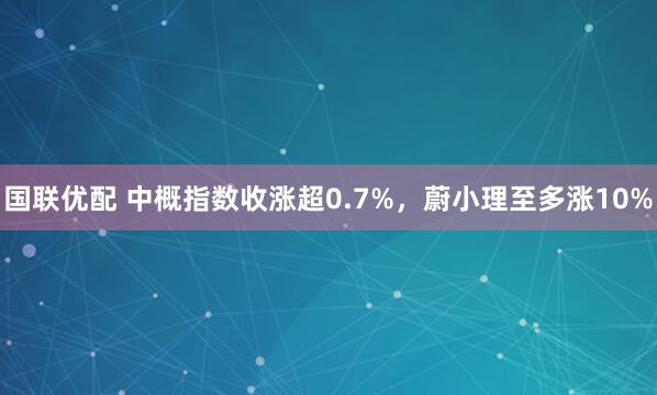 国联优配 中概指数收涨超0.7%，蔚小理至多涨10%