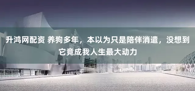 升鸿网配资 养狗多年，本以为只是陪伴消遣，没想到它竟成我人生最大动力