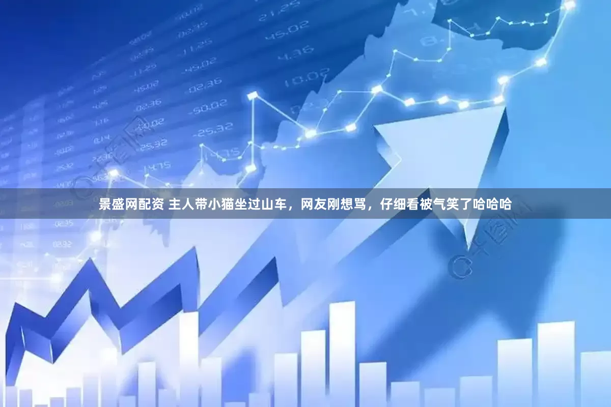 景盛网配资 主人带小猫坐过山车，网友刚想骂，仔细看被气笑了哈哈哈