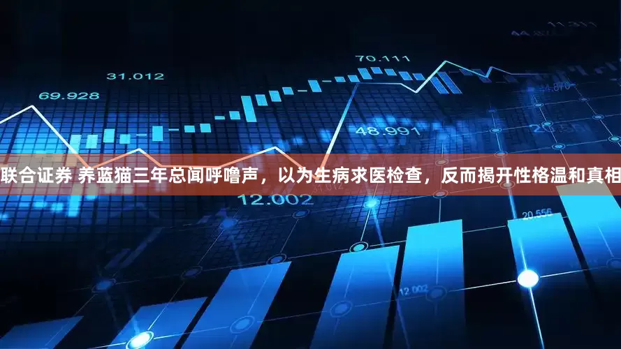 联合证券 养蓝猫三年总闻呼噜声，以为生病求医检查，反而揭开性格温和真相