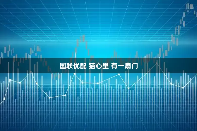 国联优配 猫心里 有一扇门