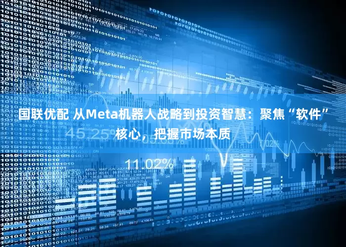 国联优配 从Meta机器人战略到投资智慧：聚焦“软件”核心，把握市场本质